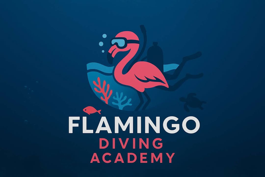 DIVE FOR SYLWIA WITH WOJTEK 🤿💙